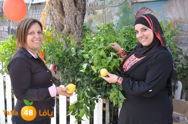 trees shamela 0321 (37).JPG